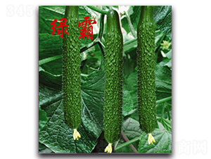 �G��-�S�ϷN��-�r(n��ng)���r(n��ng)�I(y��)