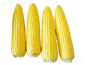 ��������700-���׷N��-�Є�(chu��ng)���S