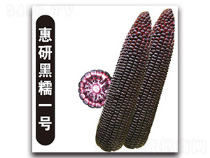 ���к�Ŵһ̖(h��o)-Ŵ���׷N��-�Є�(chu��ng)���S