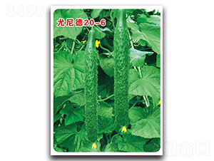 �����20��6-�S�ϷN��-�Є�(chu��ng)���S