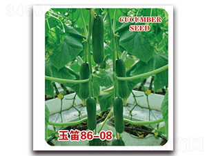 ���86-08-�S�ϷN��-�Є�(chu��ng)���S