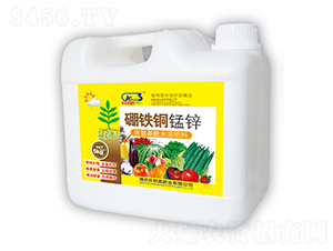 ���F�~�i�\-ʩ����-�r(n��ng)�