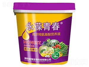 �߲˹Ϲ��͸ߝ�s������I(y��ng)�B(y��ng)Һ-�����ഺ-�{(l��n)������