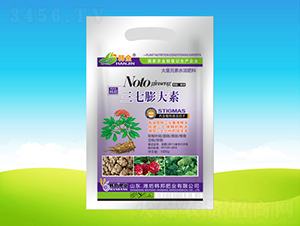 ���������-�n��ʘI(y��)