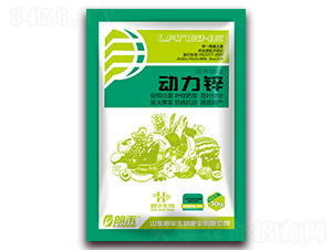 �����\-�ʺ�-���A����