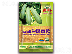 西葫蘆直長-朗禾-嘉華生物