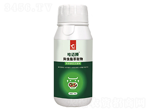 ���x����ȡ��-���~�v-���A����