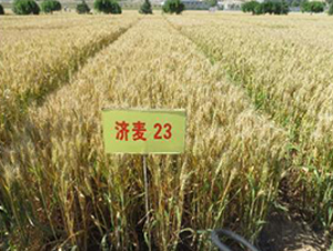 ��(j��)��23-С���N��-�����r(n��ng)�I(y��)