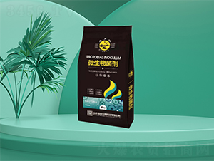 ΢���������40kg��-�㶦����