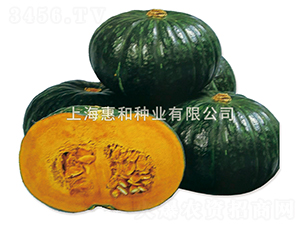 ζ��-�ϹϷN��-�ݺͷN�I(y��)