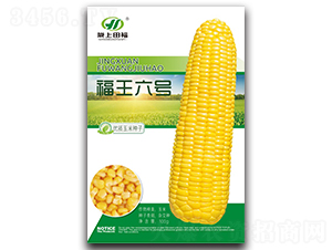 ����6̖-���׷N��-�︣�r(n��ng)�I(y��)