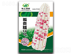 ���FŴ16̖-���׷N��-�︣�r(n��ng)�I(y��)