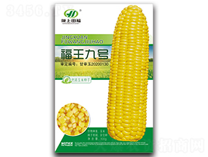 ����9̖-���׷N��-�︣�r(n��ng)�I(y��)