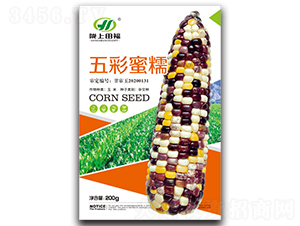 �����Ŵ-���׷N��-�︣�r(n��ng)�I(y��)