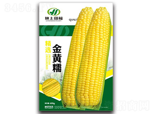 ���SŴ-���׷N��-�︣�r(n��ng)�I(y��)