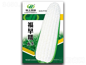 ����Ŵ65-���׷N��-�︣�r(n��ng)�I(y��)