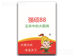 ���T88-���׷N��-��ʥ�N�I(y��)