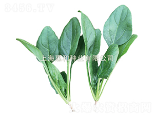 �ݲ���̖(h��o)-���˷N��-�ݺͷN�I(y��)