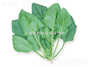 �r�G��̖(h��o)-���˷N��-�ݺͷN�I(y��)