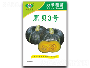 ��ؐ3̖(h��o)-�ϹϷN��-�����r(n��ng)�I(y��)