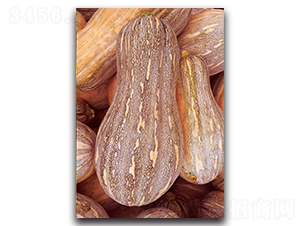 ������-�ϹϷN��-�������r(n��ng)�I(y��)