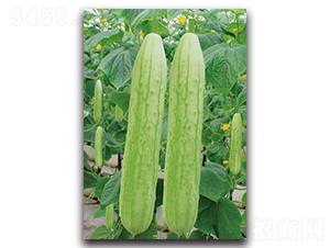 �߈@ʮ��̖(h��o)-�S�ϷN��-�������r(n��ng)�I(y��)