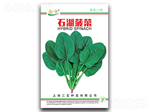 ʯ������-���˷N��-����