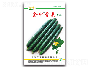 ���������S��-�S�ϷN��-����