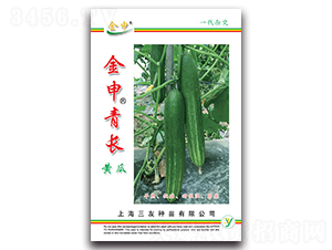 �������L�S��-�S�ϷN��-����