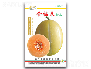 �𸣁����-��ϷN��-����