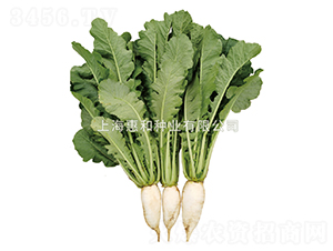 �f(w��n)�G-�}���N��-�ݺͷN�I(y��)