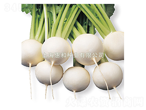 �G��-�}���N��-�ݺͷN�I(y��)