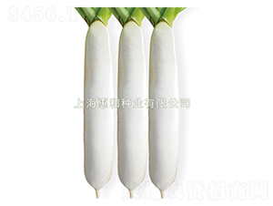 ��ɶ�̖(h��o)-�}���N��-�ݺͷN�I(y��)