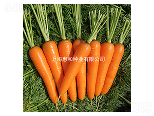 �{��(��i)˹-���}���N��-�ݺͷN�I(y��)