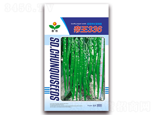 帝王336-辣椒種子-春秋種業(yè)