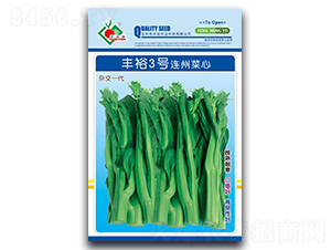 豐裕3號(hào)連州菜心-菜心種子-豐裕農(nóng)業(yè)