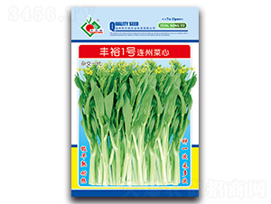 豐裕1號(hào)連州菜心-菜心種子-豐裕農(nóng)業(yè)