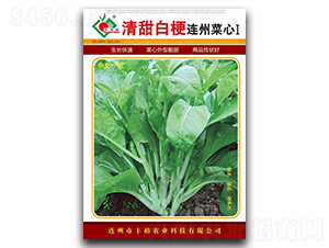 清甜白梗連州菜心Ⅰ-菜心種子-豐裕農業(yè)