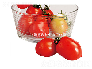 �G��-С���ѷN��-�ݺͷN�I(y��)