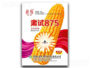 �Cԇ875-���׷N��-�����r(n��ng)�I(y��)