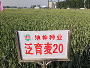 ������20-С���N��-����N�I(y��)