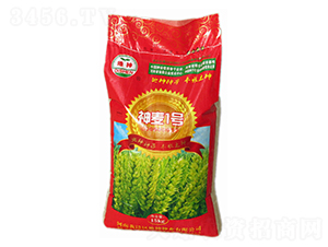 ����1̖(h��o)-С���N��-����N�I(y��)