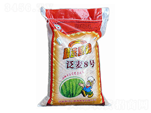 ����8̖(h��o)-С���N��-����N�I(y��)