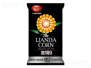 ���9-���׷N��-(li��n)�_(d��)�N�I(y��)