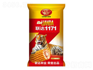 (li��n)�_(d��)1171-���׷N��-(li��n)�_(d��)�N�I(y��)