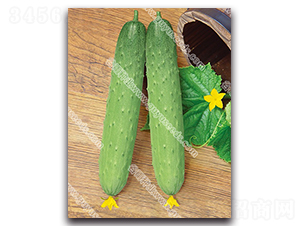 ��������S��-�S�ϷN��-����N�I(y��)