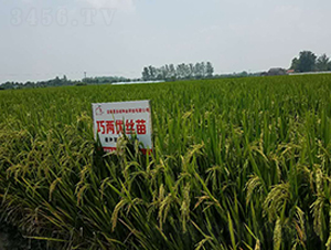 �ɃɃ�(y��u)�z��-ˮ���N��-ϲ����