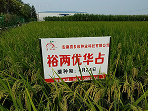 ԣ�Ƀ�(y��u)�Aռ-ˮ���N��-ϲ����