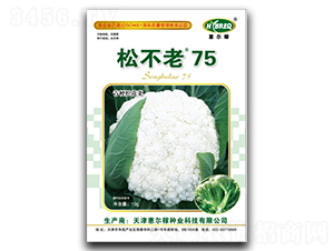 松不老75-松花菜種子-惠爾稼