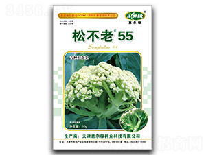 松不老55-松花菜種子-惠爾稼